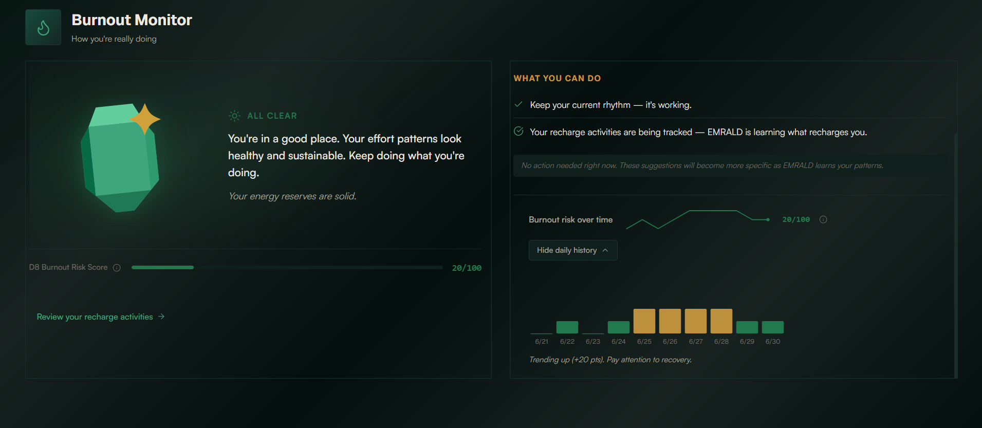 EMRALD Web Platform Burnout Monitor — risk read from sustained patterns